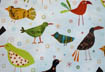 birds